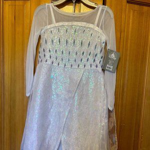 Child's Queen Elsa Costume from The Disney Store SZ 5/6